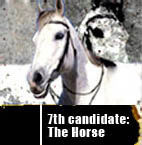 The Horse